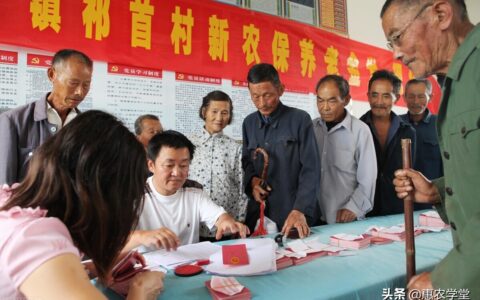 农村养老保险分为几档？一年交5000元每月能领多少钱？一文解读