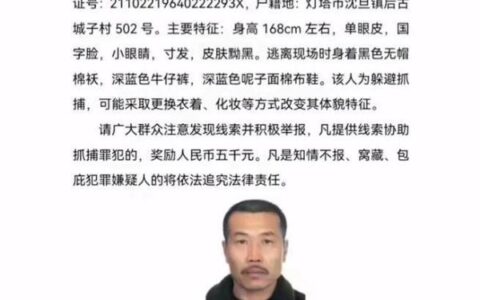 辽宁辽阳一男子刺死村支书后自缢身亡，当地村民：疑似因土地纠纷