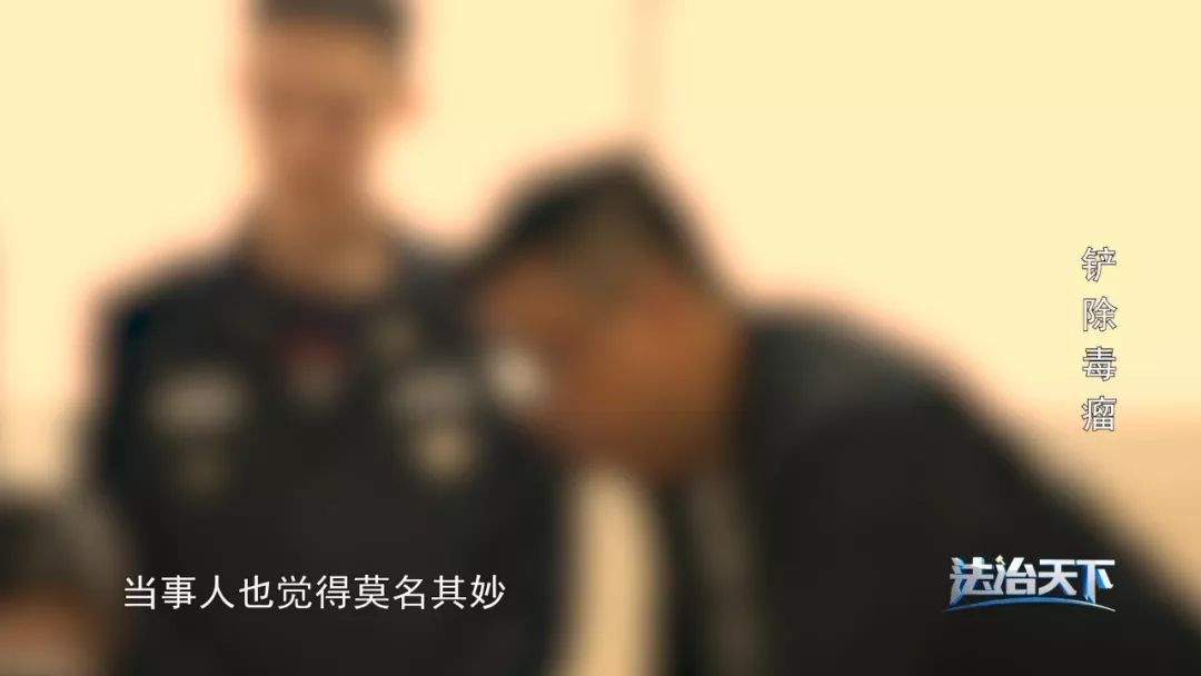 为祸一方的黑恶势力，会受到怎样的法律制裁？| 法治天下