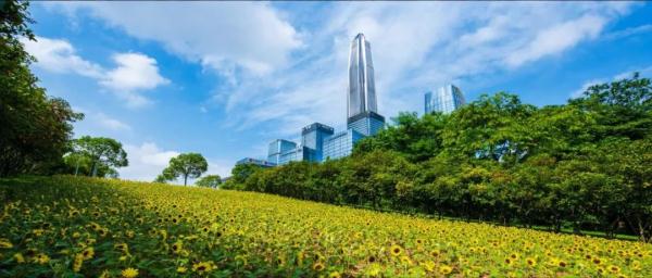 覆盖面扩大、可自愿缴存，深圳住房公积金政策将有五大变化