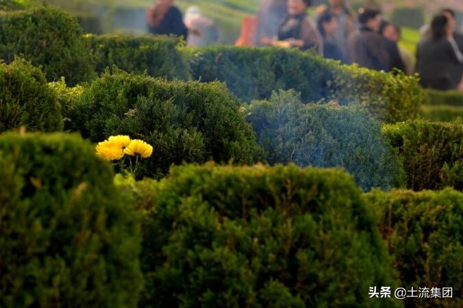 2022清明节放假安排：具体放几天？怎么调休？官方最新通知来啦
