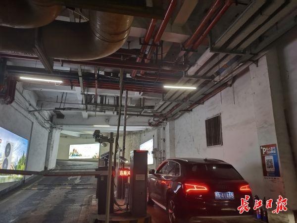 出示了证件,残疾人专用车辆仍被收取停车费,市发改委:须严格执行相关免费停车政策
