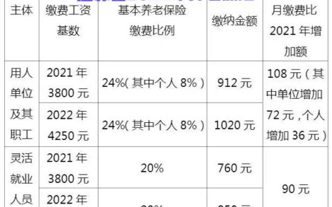 2022年，个人缴纳养老保险费，选择什么档次划算？