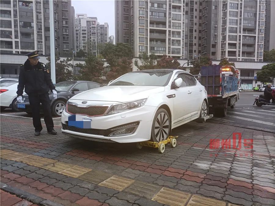柳州一车主违停19次拒缴17次罚款,被法院强制执行!还被加罚