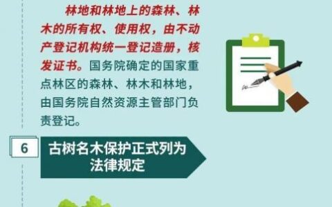 新森林法解读及新森林法滥伐林木立案标准