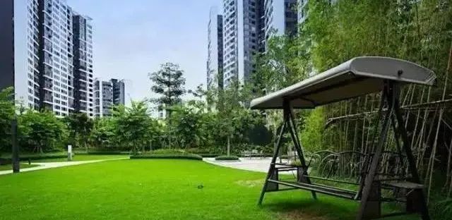 关于业主共有权问题的10个权威案例