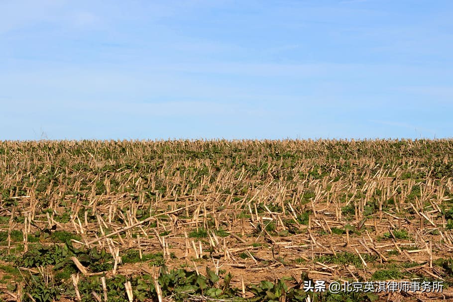 一块土地两个所有权人,征地补偿到底该归谁?