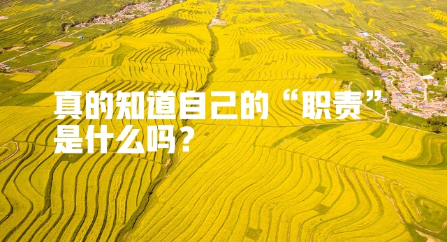 道德和法律的关系
