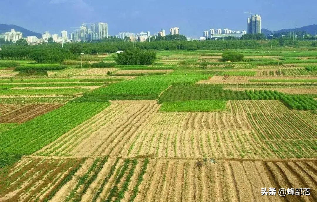 2021年土地闲置会被征收，征收标准你知道多少？把握好5点不吃亏