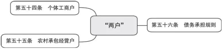 词条学“典”(二)|民事权利、行为能力等