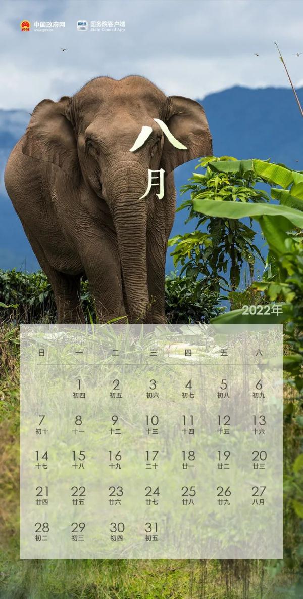 2022年假期日历全在这儿了,快收藏