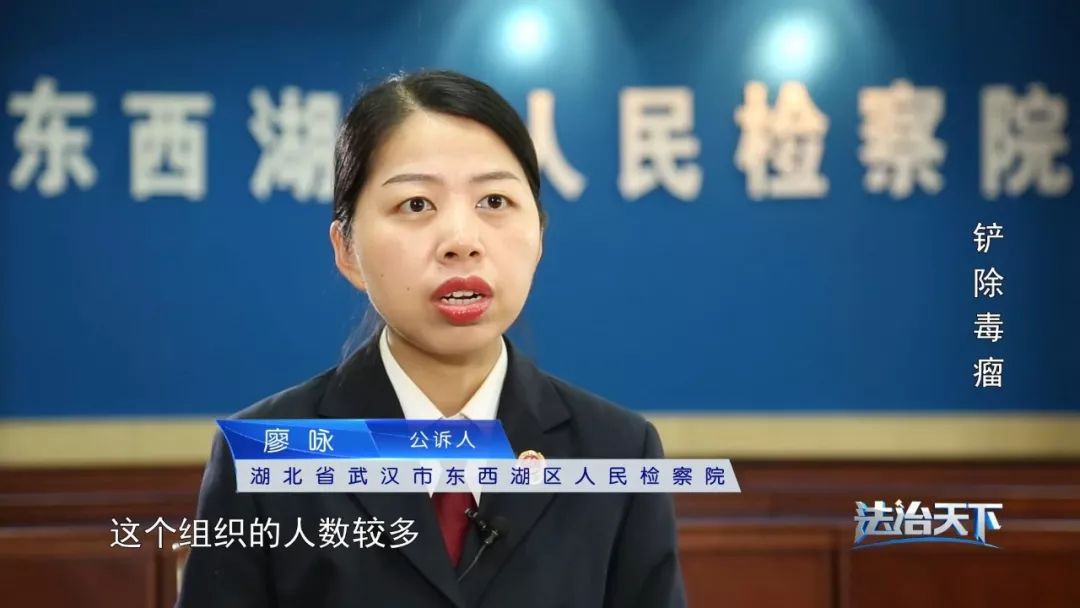 为祸一方的黑恶势力，会受到怎样的法律制裁？| 法治天下