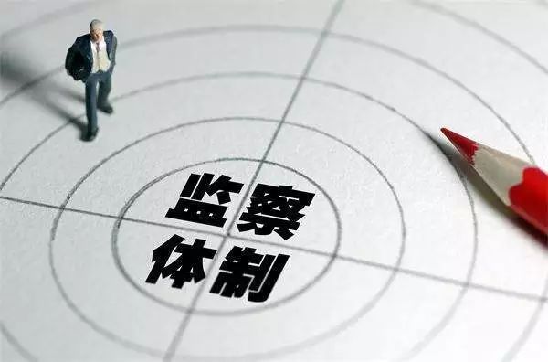 最高国家权力机关的三个新成员即将满周岁,这一年都干了啥?
