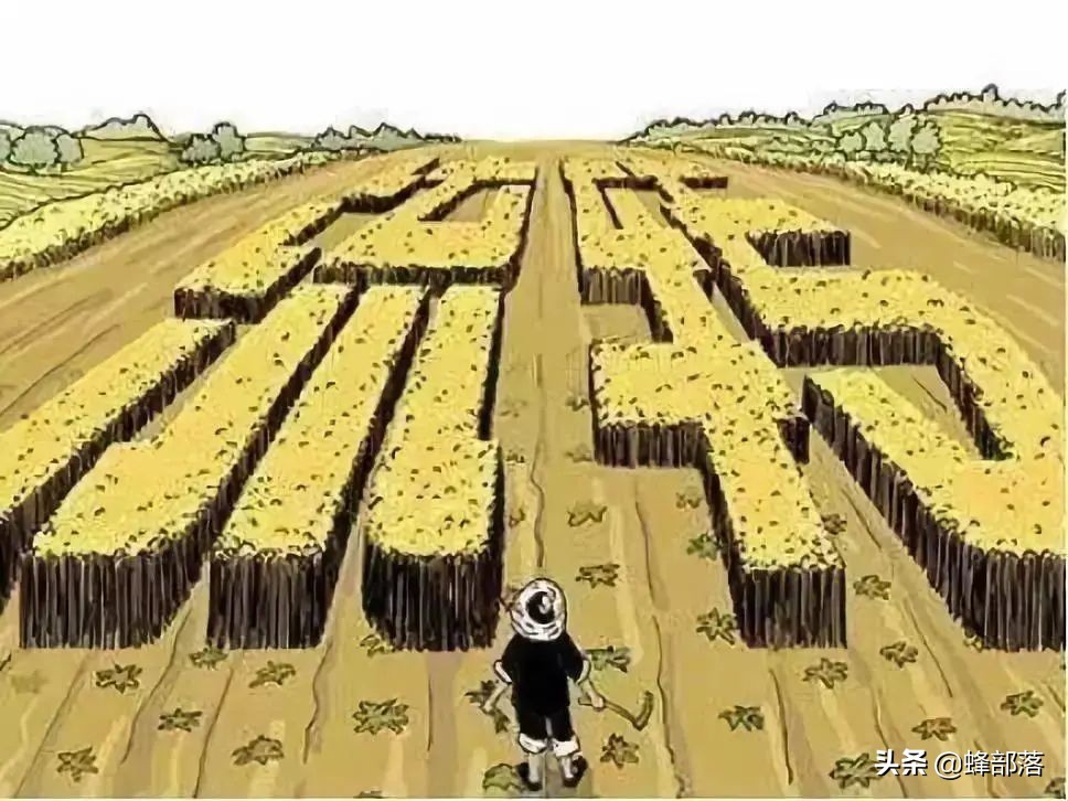 2021年土地闲置会被征收，征收标准你知道多少？把握好5点不吃亏
