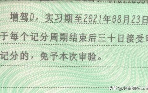 逾期未年审最高罚500元，驾照年审都审什么？驾驶证年审新规出炉