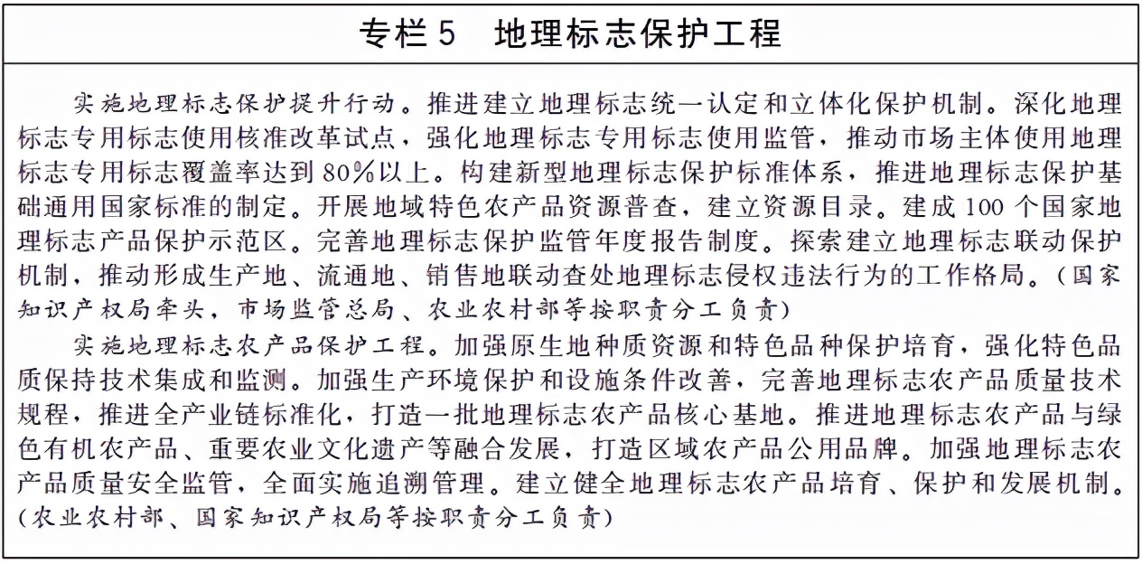 国务院关于印发“十四五”国家知识产权保护和运用规划的通知