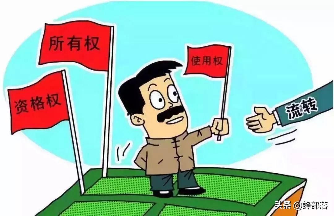 农村房屋开始办理产权证，需要哪些材料？4种情况办不了，新政策