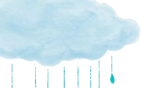 银行账户类型