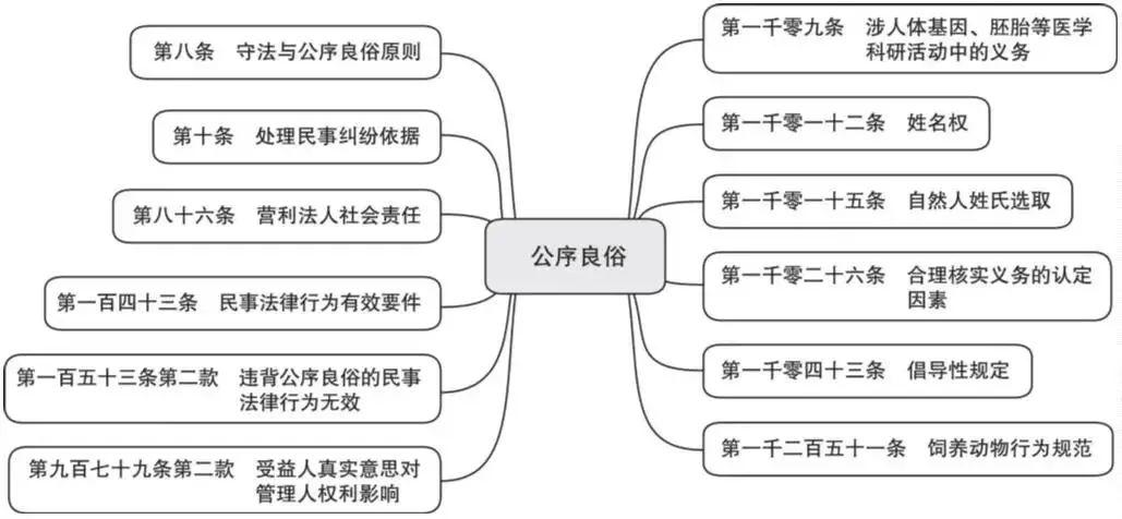 词条学“典”|《民法典》的六大基本原则