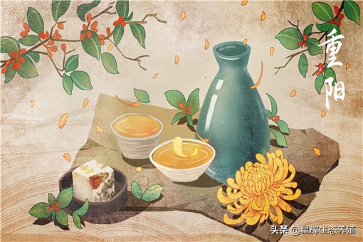 2021重阳节放假吗？放假安排具体是怎样的？附最新消息