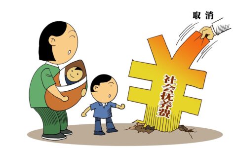 缴纳社会抚养费是多少及2025年抚养费标准
