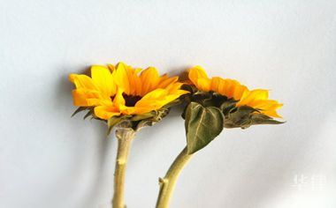 私闯民宅可以打人吗
