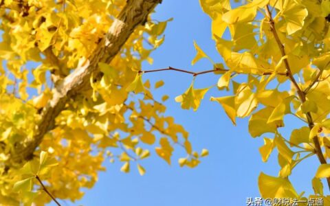 股份公司的设立方式有哪些及股份有限公司可以采取的方式