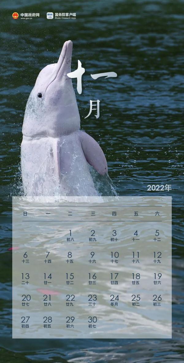 2022年假期日历全在这儿了,快收藏