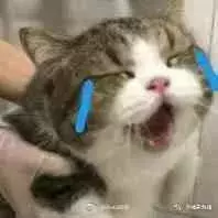 关于护照的这几点常识要注意了，以免拿着护照还被当场遣返