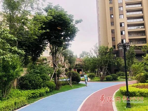 定了！公租房门槛“又低了”！这些青岛人都能申请