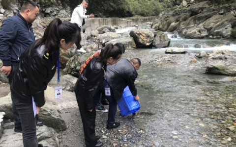 养娃娃鱼犯法吗及私人养殖娃娃鱼法律处罚