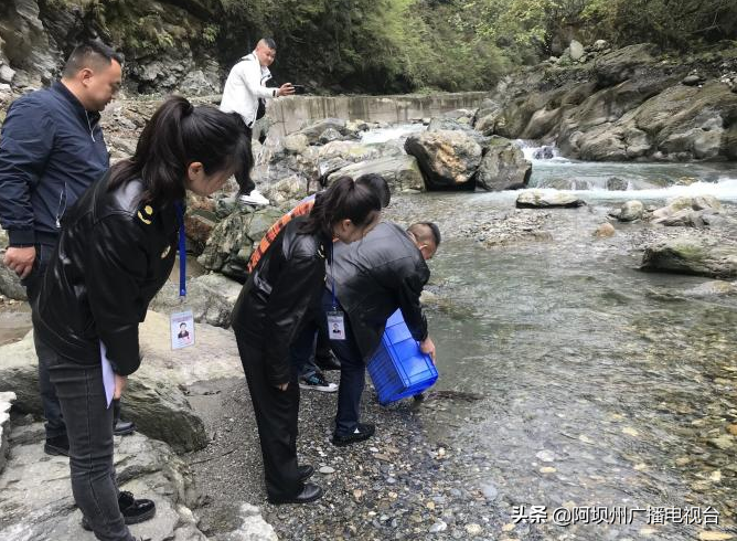 汶川县综合行政执法局查处一起违法经营“娃娃鱼”案