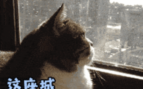 深圳社保可千万不能轻易断缴！这些事情直接受影响......
