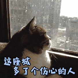 深圳社保可千万不能轻易断缴！这些事情直接受影响......