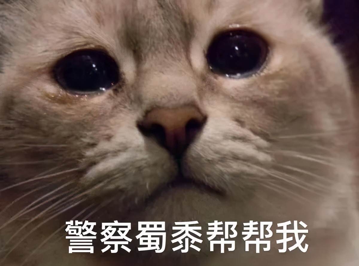 高考学生户口本不见了！莫慌！安排！