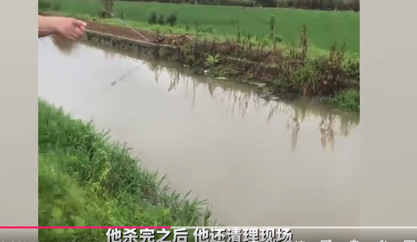 15岁少年杀害两名幼童后抛尸：不适用死刑，将从轻减轻处罚？