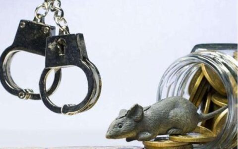 什么是经济犯罪案件及经济纠纷是民事还是刑事