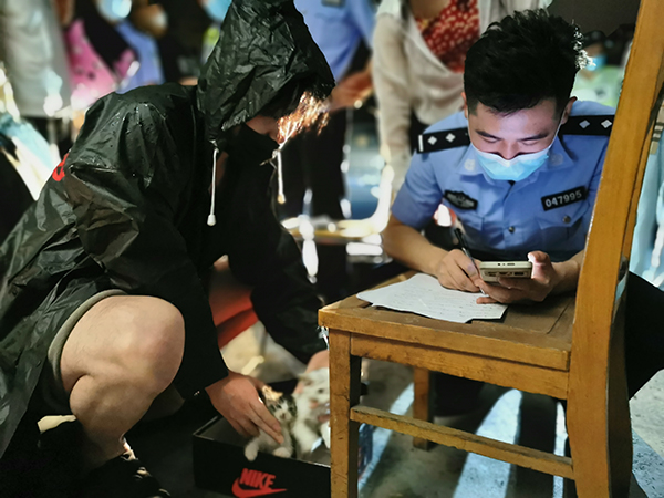嘉定发现大量宠物盲盒，警方、志愿者紧急救下上百只奶猫奶狗