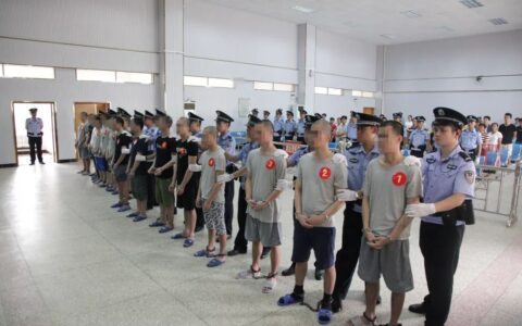 特殊累犯怎么认定的及一般累犯的构成要件