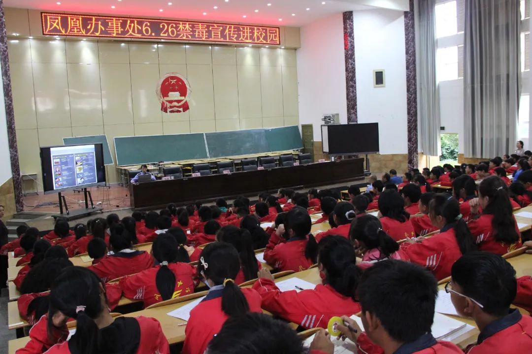 《大家说法》—(132)关注《强制隔离戒毒》
