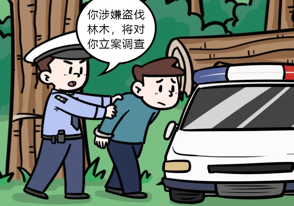 【以案释法】现实版“光头强”组队盗伐林木,结果……