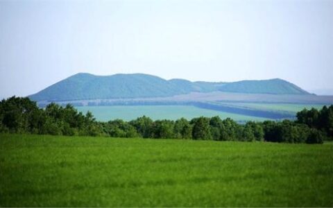 森林法实施条例处罚全文及新森林法处罚条例细则