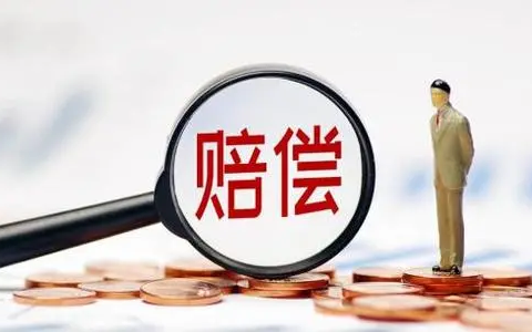 国家赔偿新标准是多少及2024最新国家赔偿法全文解释