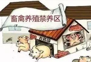 最高法：租赁村集体土地建设养殖场被强拆，是否能获得赔偿？