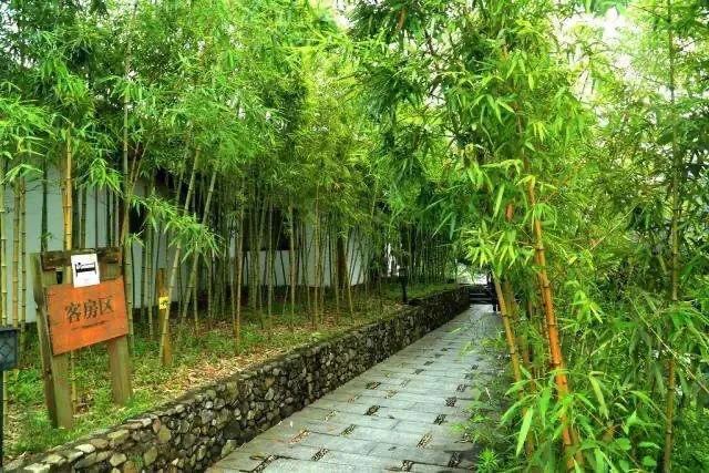 股东会议事规范(上)