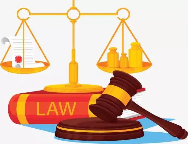 最高国家权力机关的三个新成员即将满周岁,这一年都干了啥?