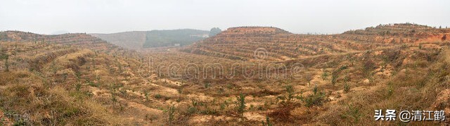2022年林地征用费多少钱一亩？视情况区别对待，一卡通直补到户