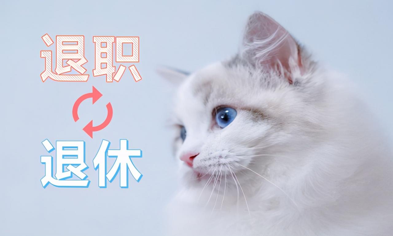 不能退休，也许能退职，但知道退职的条件后却不想办了，啥条件？