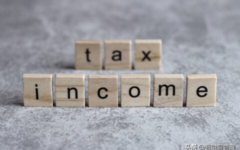 分公司可以独立缴纳企业所得税吗？