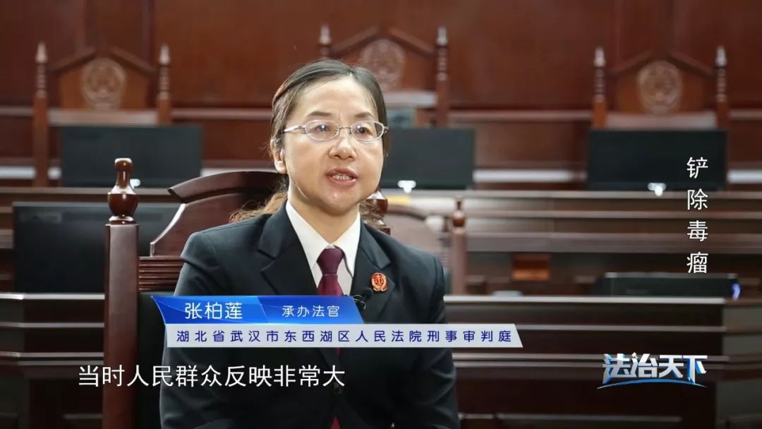 为祸一方的黑恶势力，会受到怎样的法律制裁？| 法治天下